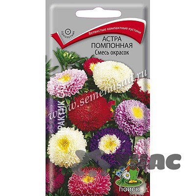 Астра помпонная смесь окрасок Поиск Ц