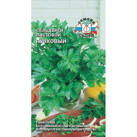 Сельдерей Пучковой лист. Седек Ц