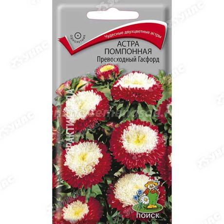Астра Превосходный Гасфорд Поиск Ц