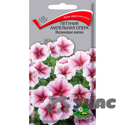 Петуния Опера Малиновые жилки Поиск Ц