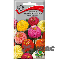 Циния Фея Смесь окрасок низкорослая Поиск Ц