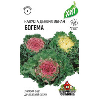 Капуста декор. Богема (метал) Гавриш Ц