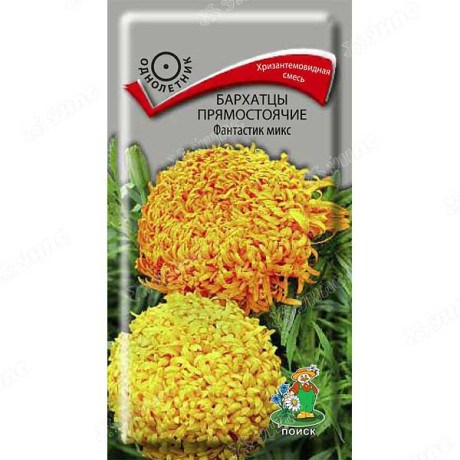 Бархатцы Фантастик Поиск Ц