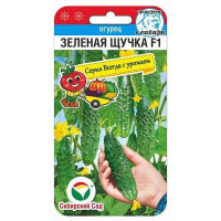 Огурец Зеленая щучка СибСад Ц