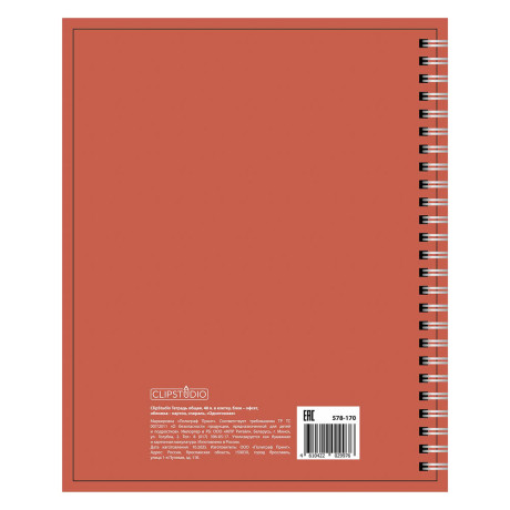 ClipStudio Тетрадь общая 48 л. в клетку, блок офсет, обложка картон, спираль "Однотонная" 3 диз.