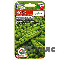 Горох Муцио СибСад Ц