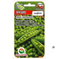 Горох Муцио СибСад Ц