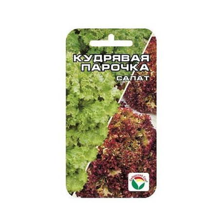 Салат Кудрявая парочка СибСад Ц