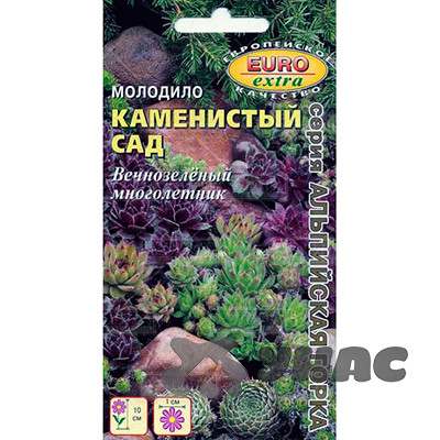 Молодило Каменистый сад смесь Аэлита Ц