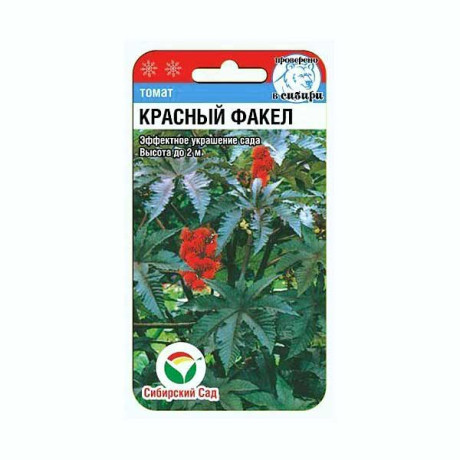 Клещевина Красный факел СибСад Цх10