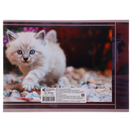 Альбом для рисования А4, 8 листов, 4 дизайна