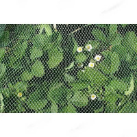 Сетка от птиц 2*50м 10г/м2 (рулон) САДОВИТА