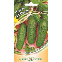 Огурец Орлик Гавриш Ц
