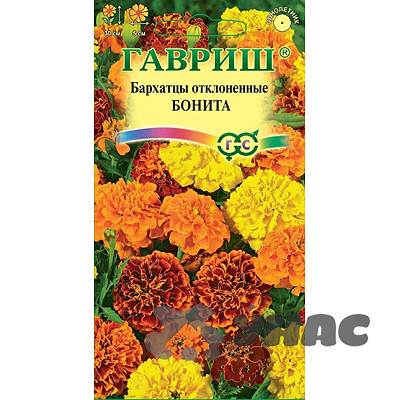 Бархатцы Бонита  Гавриш Ц
