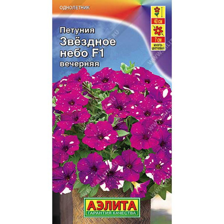 Петуния Звездное небо вечерняя Аэлита Ц х10