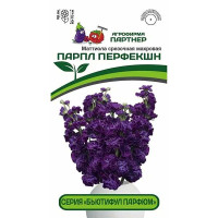 Маттиола Бьютифул Парфюм Парпл Перфекшн Партнер Ц