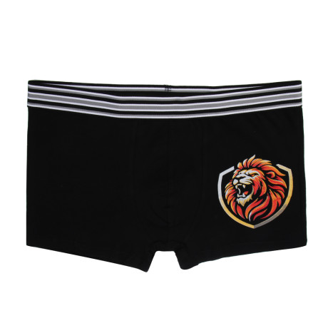 GALANTE Трусы-боксеры мужские с принтом р.50, 95%хлопок, 5%спандекс, разноцветные, НБ25-5