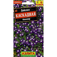 Лилия Фантом Джой 11/12 7 шт