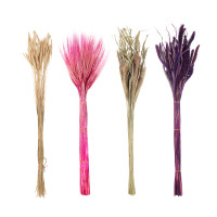 Сухоцветы Ячмень, Могара, тм Колхоз Луч, 70г, в ассортименте