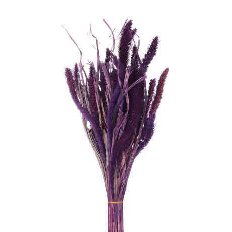 Сухоцветы Ячмень, Могара, тм Колхоз Луч, 70г, в ассортименте