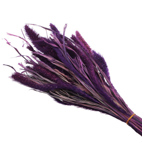 Сухоцветы Ячмень, Могара, тм Колхоз Луч, 70г, в ассортименте