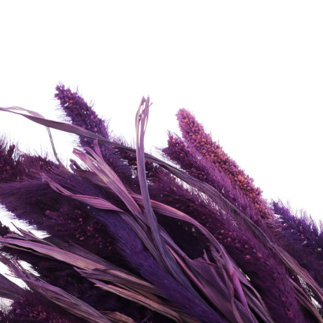 Сухоцветы Ячмень, Могара, тм Колхоз Луч, 70г, в ассортименте