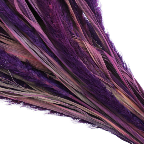 Сухоцветы Ячмень, Могара, тм Колхоз Луч, 70г, в ассортименте