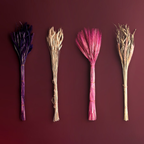 Сухоцветы Ячмень, Могара, тм Колхоз Луч, 70г, в ассортименте