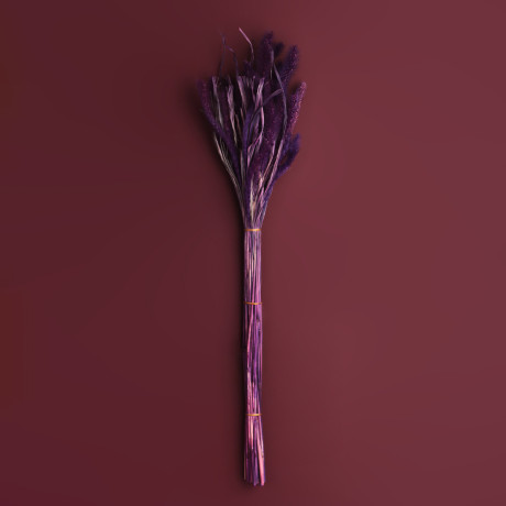 Сухоцветы Ячмень, Могара, тм Колхоз Луч, 70г, в ассортименте