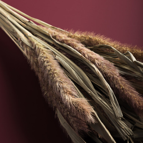 Сухоцветы Ячмень, Могара, тм Колхоз Луч, 70г, в ассортименте