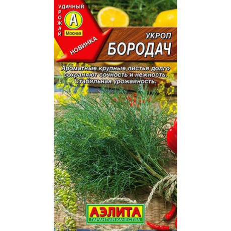 Укроп Бородач Аэлита Ц