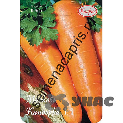 Морковь Канберра (Нидерланды) Каприс