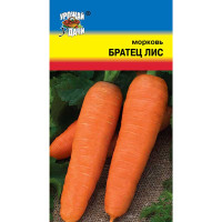 Морковь Братец Лис Урожай у дачи Ц