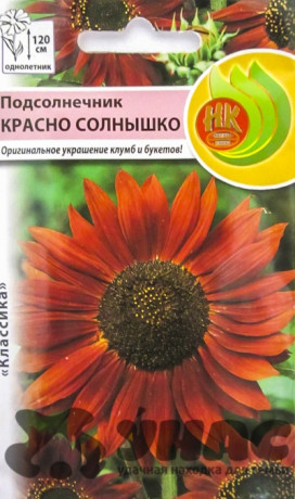 Подсолнечник Красно солнышко НК Ц