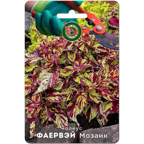 Колеус Фаервэй Мозаик Биотехника Ц