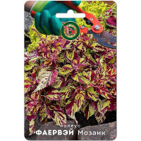 Колеус Фаервэй Мозаик Биотехника Ц