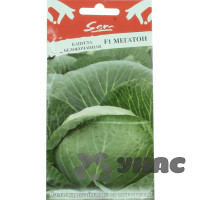 Капуста Мегатон НК Ц