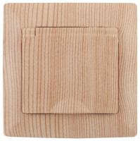 ЭРА Intro Solo роз. СУ 1 мест. земля крыш, 16А, сосна 4-203-11 53665