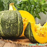 Тыква Медовая крошка НК Ц