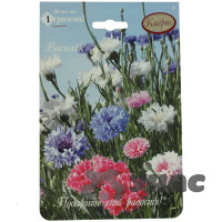 К Василек Фейерверк смесь (Германия) Каприс