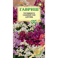 Антирринум (Львиный зев) Антик Гавриш Ц