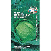 Капуста Взрыв Седек Ц