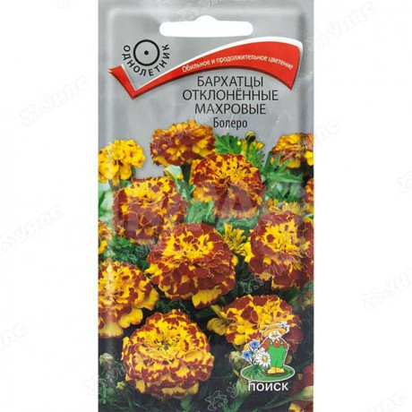 Бархатцы Болеро Поиск Ц