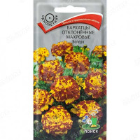 Бархатцы Болеро Поиск Ц