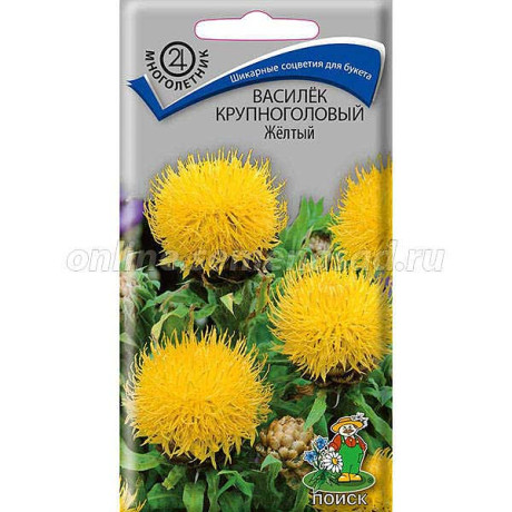 Василек Желтый крупноголовый Поиск Ц