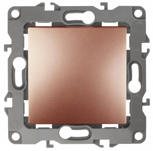 Эра12 кнопка СУ, 10АХ, медь, 250В, IP20, 12-1111-14 6323