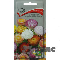 Гелихризиум Махровый Смесь окрасок  Поиск Ц