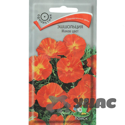 Эшшольция Маков Цвет Поиск Ц