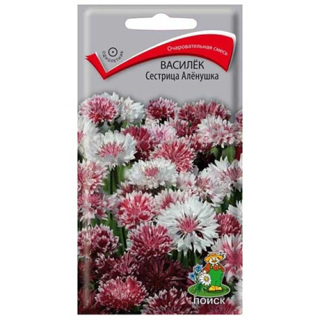 Василек Сестрица Аленушка Поиск Ц