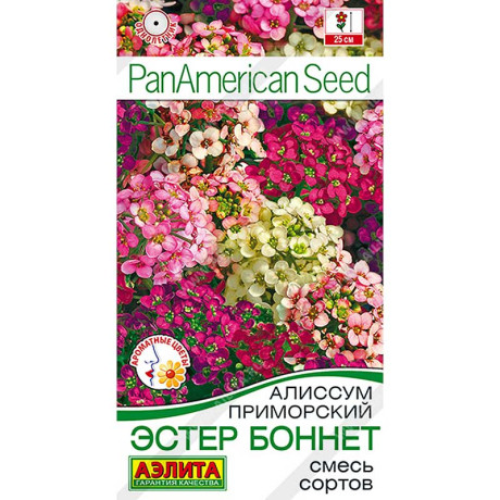 Алиссум Эстер Боннет Аэлита Ц х10